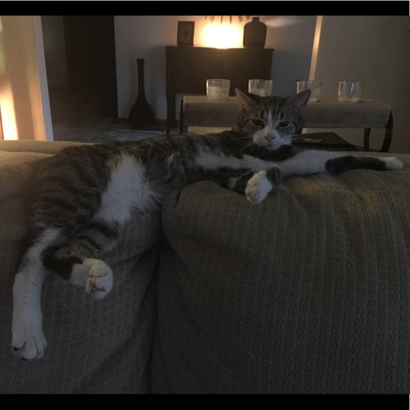 Meet your Posher, Tammy!!! - Picture 3 of 5